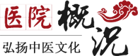 公安縣中醫(yī)醫(yī)院簡介